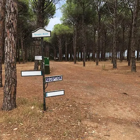 Campsite Camping Parco Margherita *