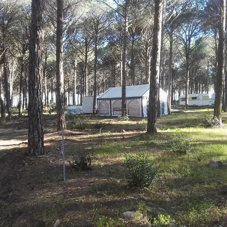 Campsite Camping Parco Margherita *