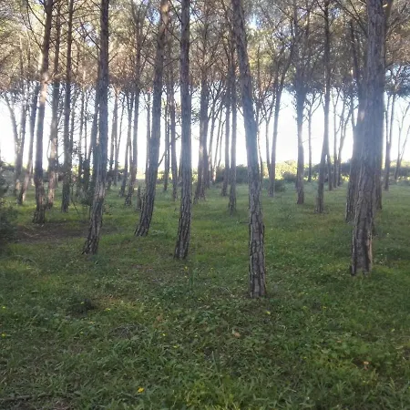 Campsite Camping Parco Margherita *
