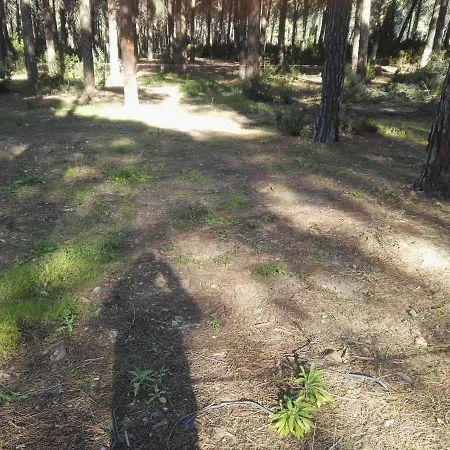 Camping Parco Margherita