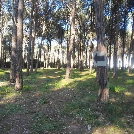Camping Parco Margherita Campsite Fort Village