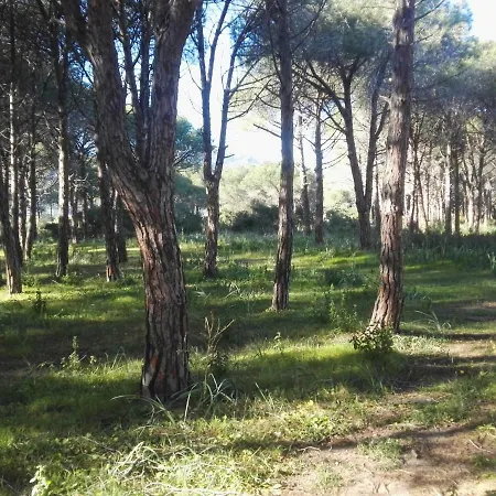 Camping Parco Margherita