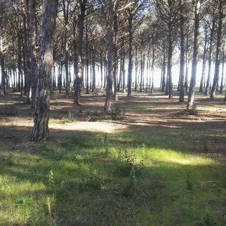 Camping Parco Margherita Campsite
